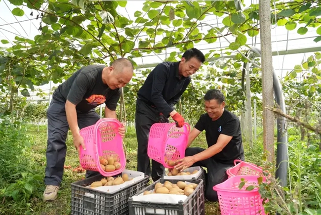 耘山海寧德“食”在！K8凯发·国际网站耕(图4)